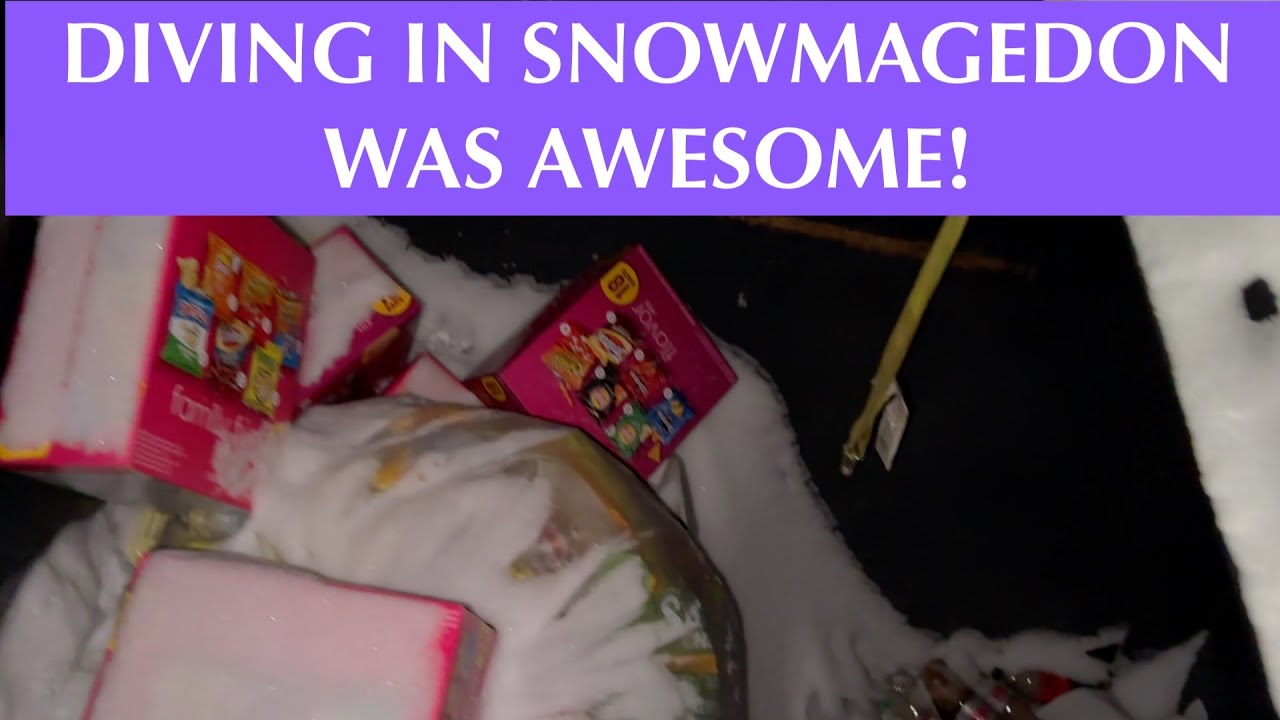 DUMPSTER DIVIN// OUT IN NEGATIVE TEMPS BUT IT WAS SO WORTH IT!