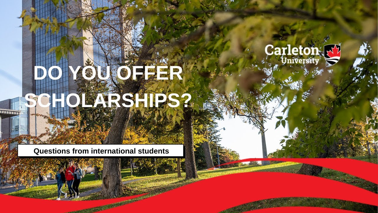 Do you offer scholarships? (International, Undergraduate)