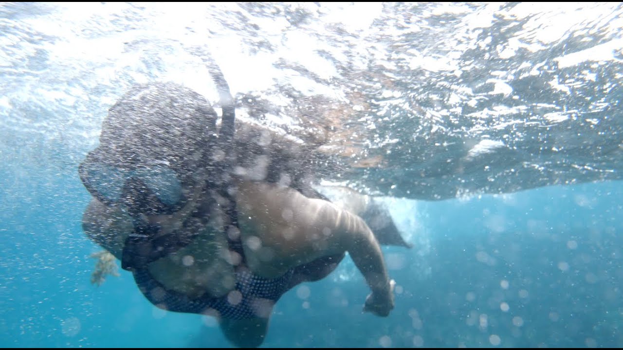 Fish Eagle Point Snorkel - July 8th 2025