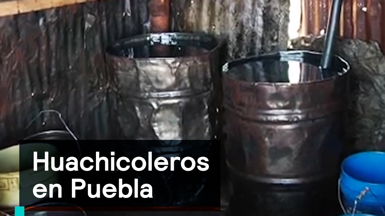 Los huachicoleros pululan en la carretera México-Veracruz - Denise Maerker 10 en punto