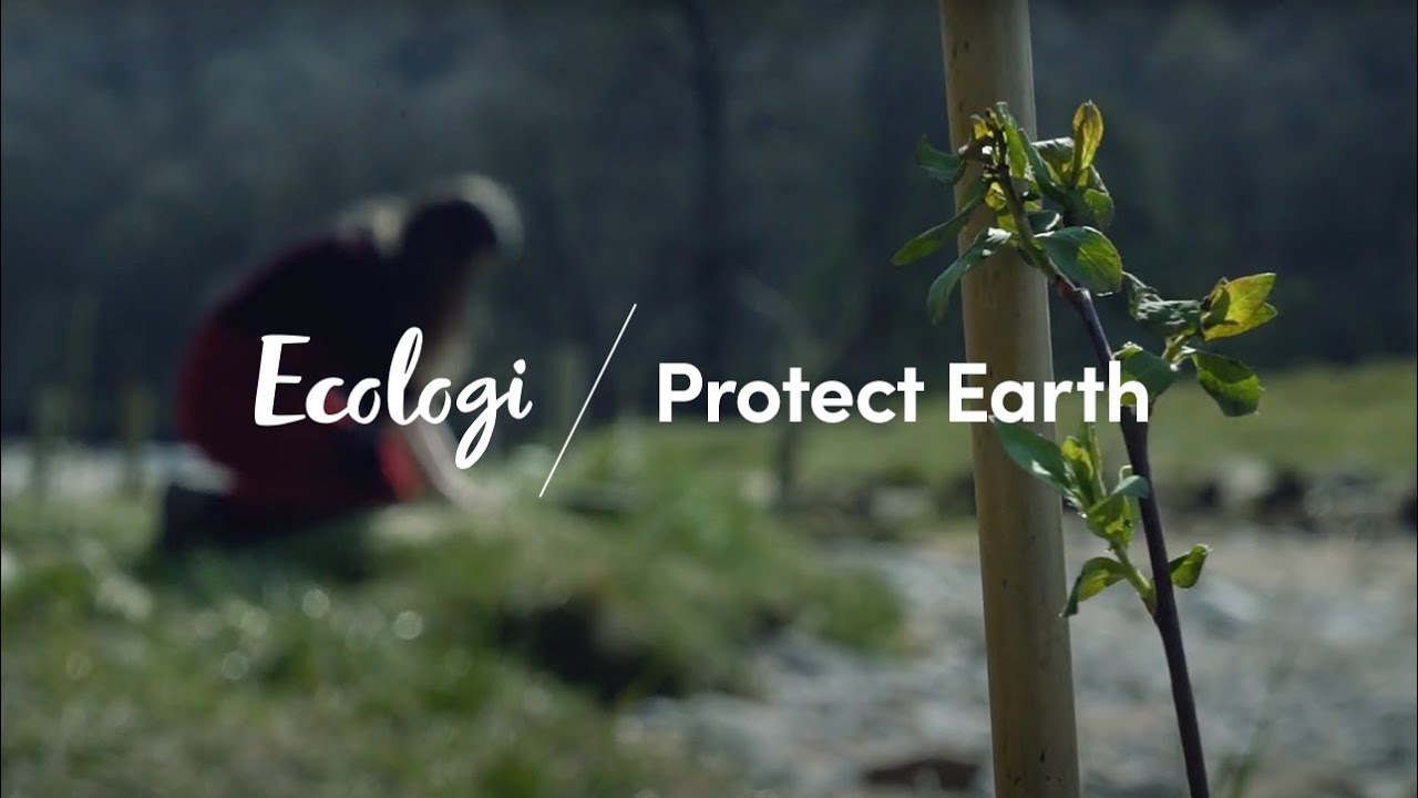 Tree-Planting with Protect Earth | Ecologi 🌱