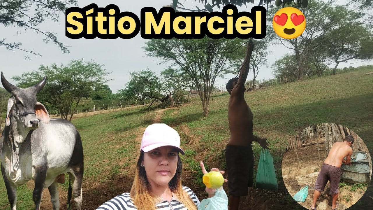 ME IMPRESSIONEI COM TANTA FARTURA, SITIO MARCIEL, NOSSO NORDESTE E ABENÇOANDO 🙏🏻🤚🏻