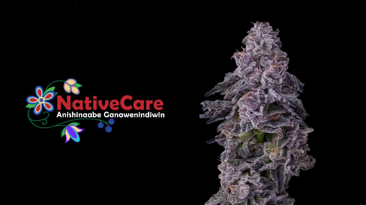 NativeCare - Minnesota's Finest Cannabis