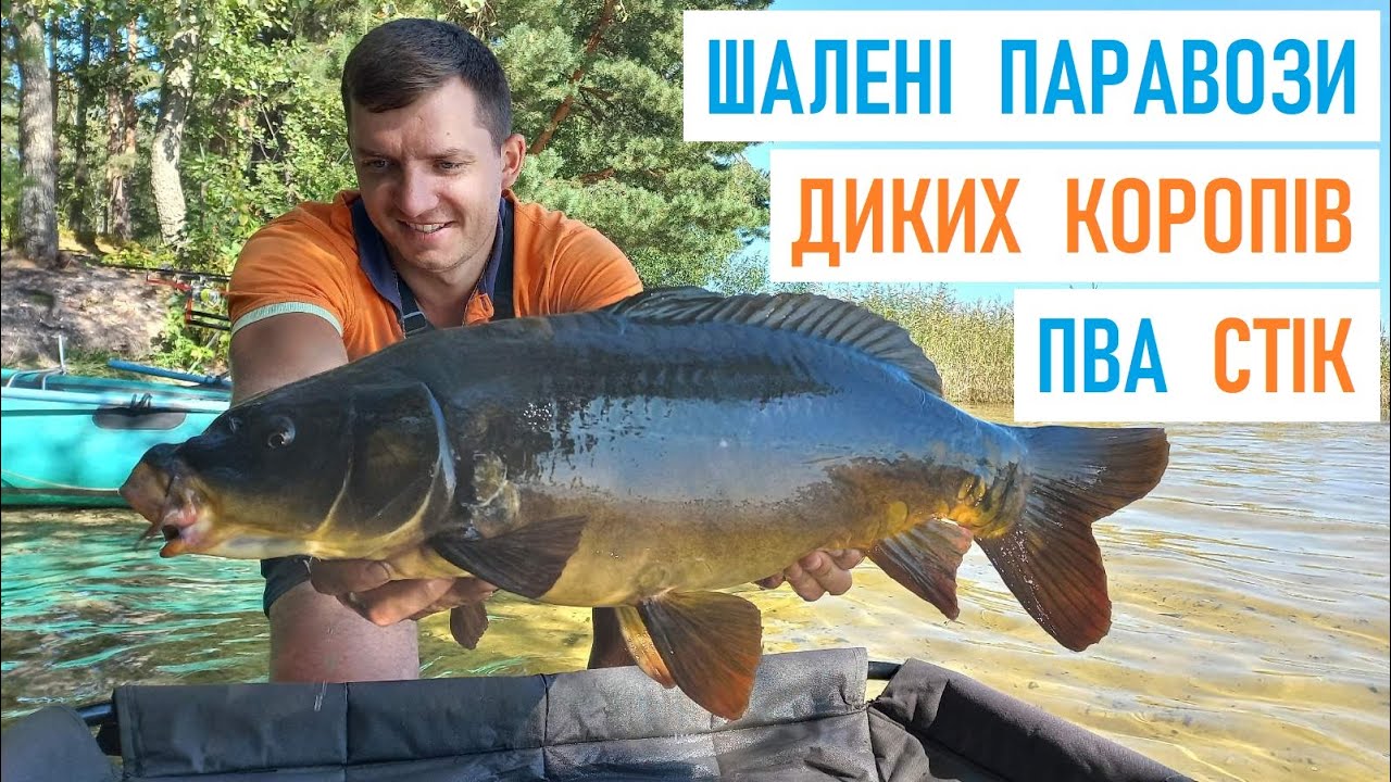 Потужні КОРОПОВІ ПАРАВОЗИ на ДИКОМУ ОЗЕРІ. ПВА СТІК для ДИКАРЯ. Рибалка на КОРОПА #КомандаА #Niksol