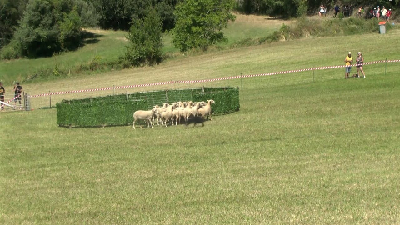 Llavorsí acollirà la primera edició del Festival Pirineu Pastor