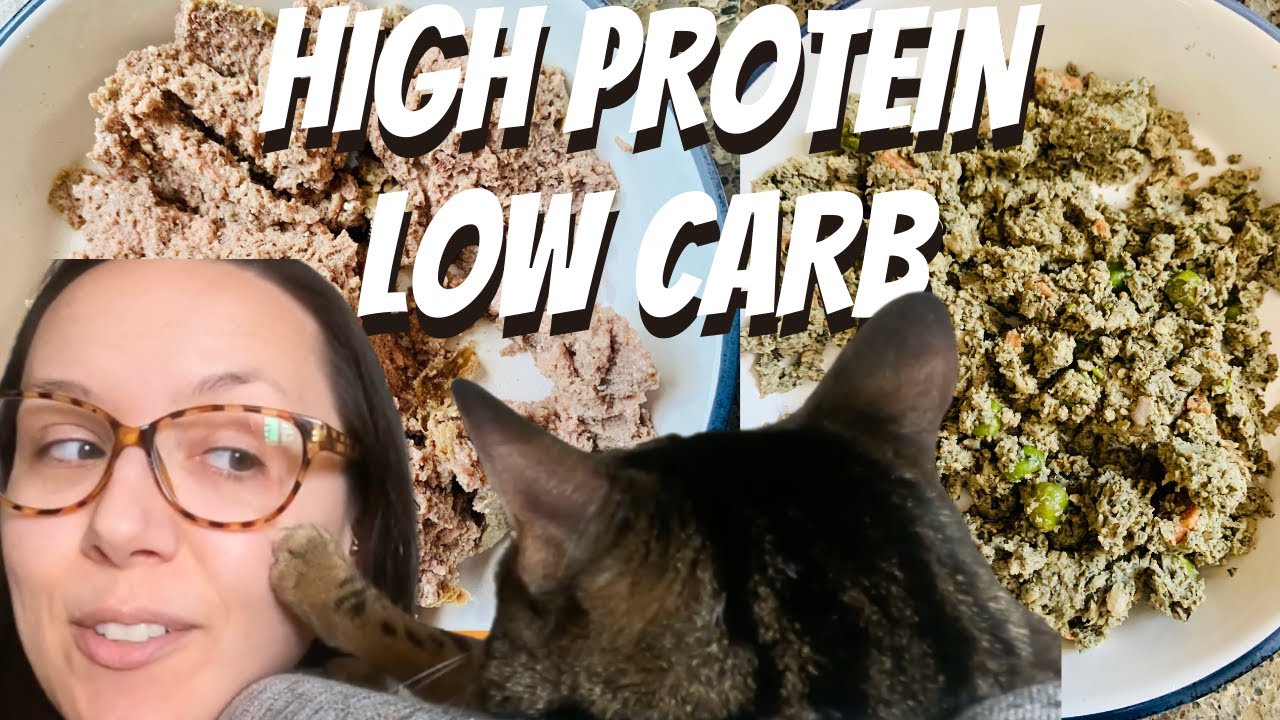Jess Caticles reviews high protein low carb wet cat food