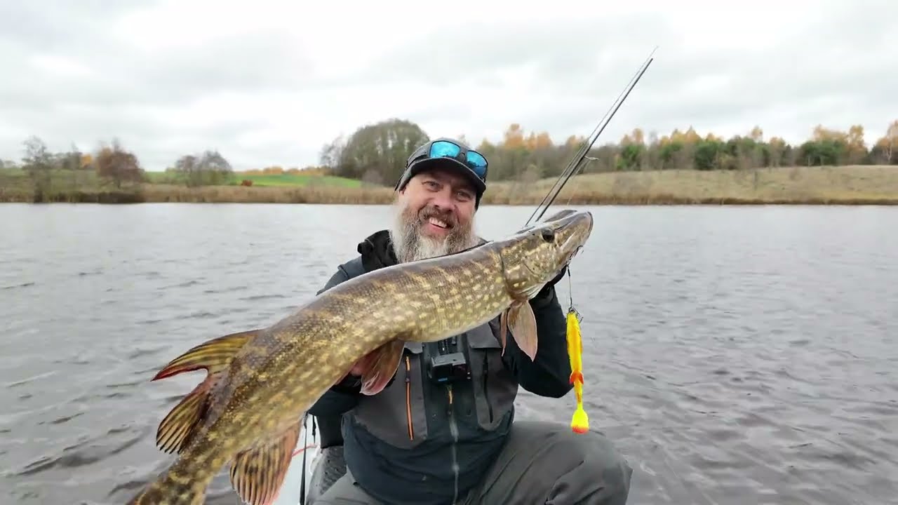 Rudens lydekų žvejyba. Pašiaušės I tvenkinys