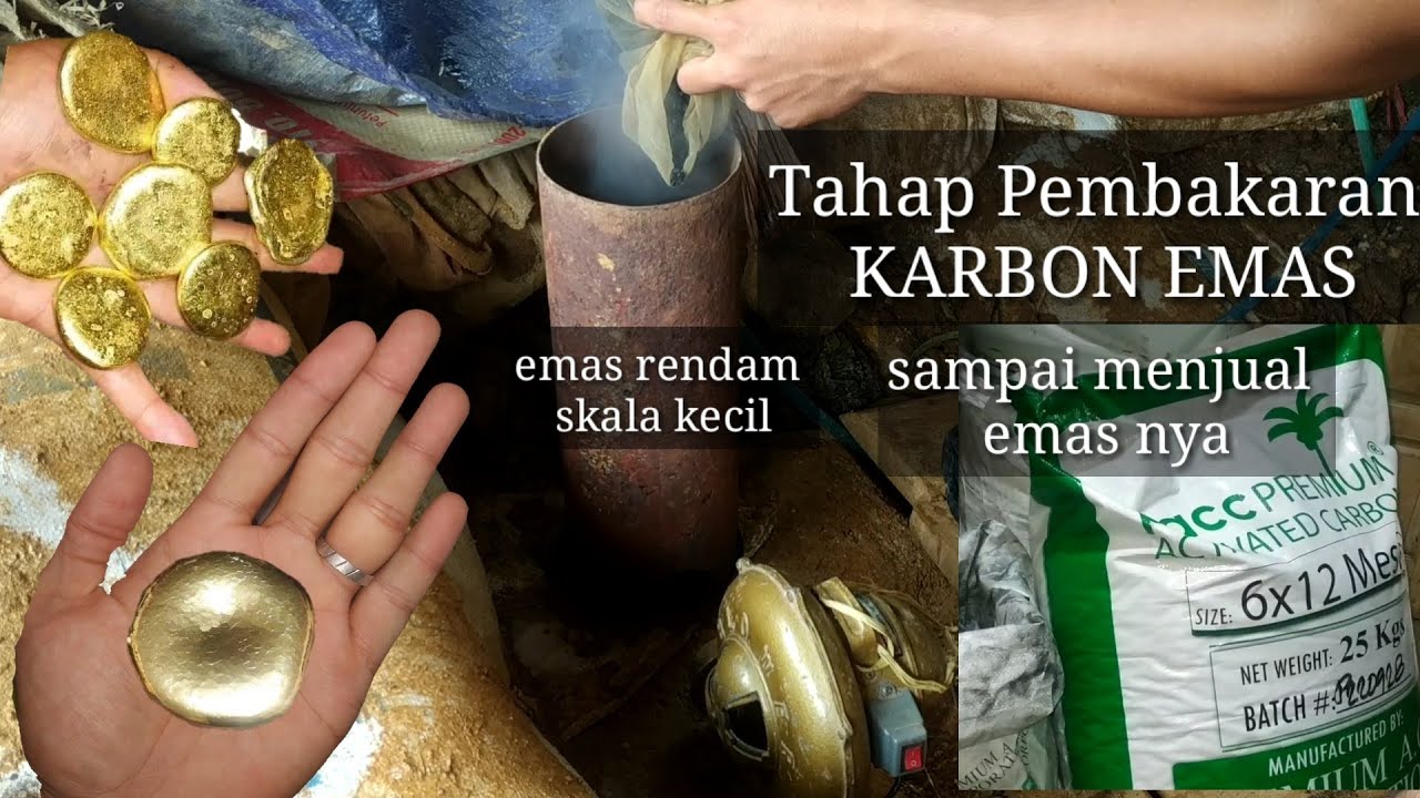 TAHAP PEMBAKARAN KARBON AKTIF EMAS,. TAHAPAN AKHIR PANEN EMAS