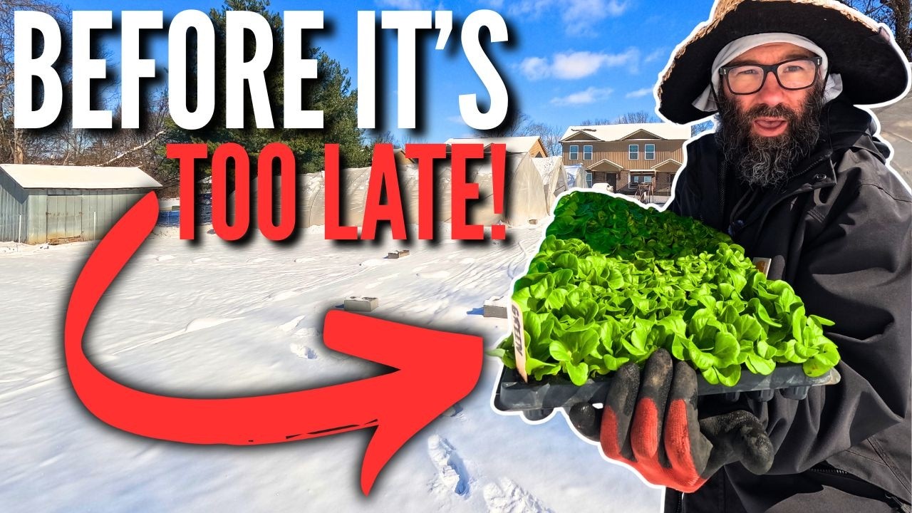 DON'T WAIT! Start These 10 Crops In February (For Huge Harvests)