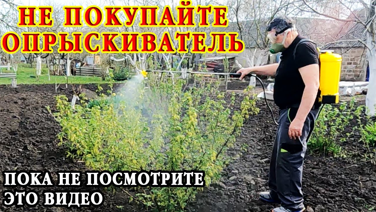 Вы хотите купить САМЫЙ ЛУЧШИЙ ОПРЫСКИВАТЕЛЬ для дома? Тогда вам сюда! Обработал сад за 10 мин!