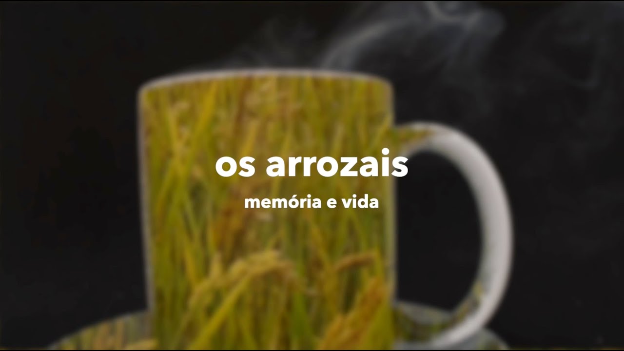 FAL 2022 | Os Arrozais - Memória e Vida
