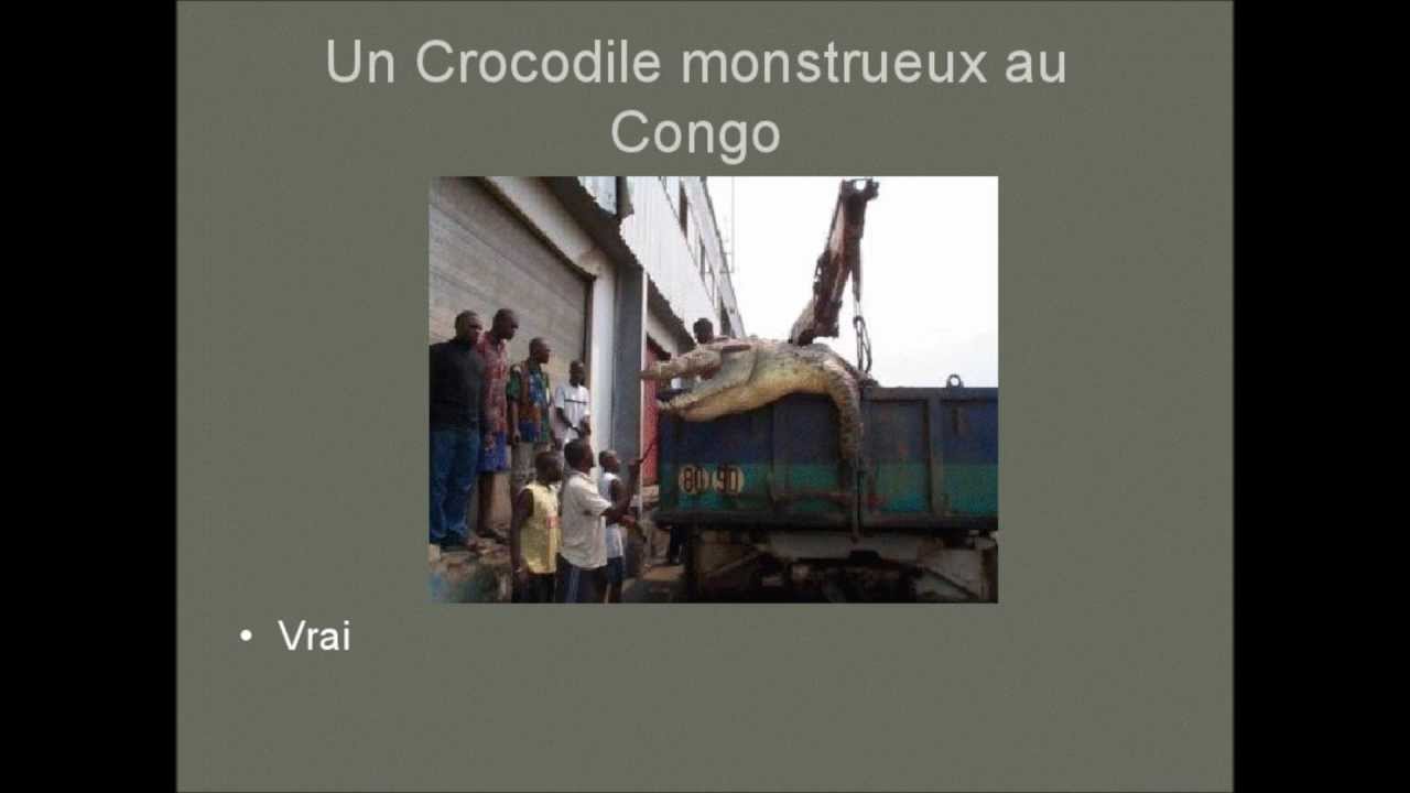 Image insolite unusual image
