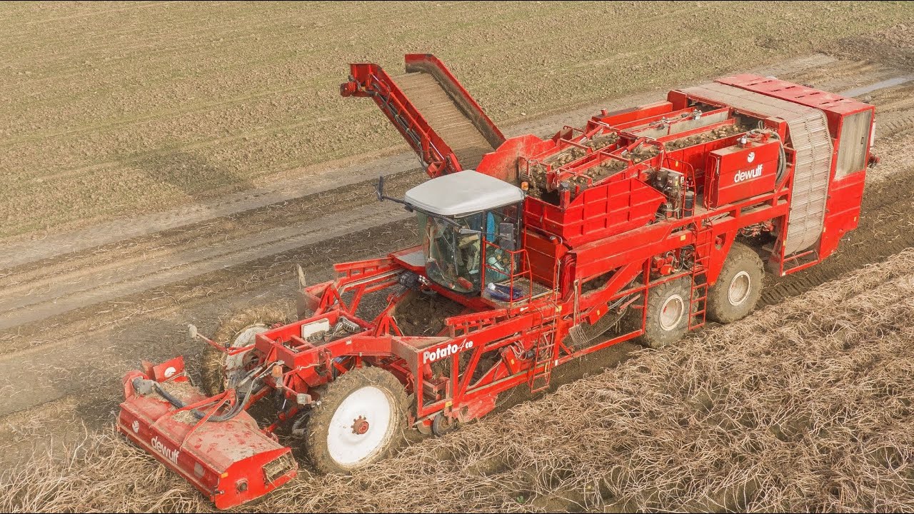 #puresound | Dewulf Potato4CE | Potato harvesting with 3 axle potato harvester | 2020
