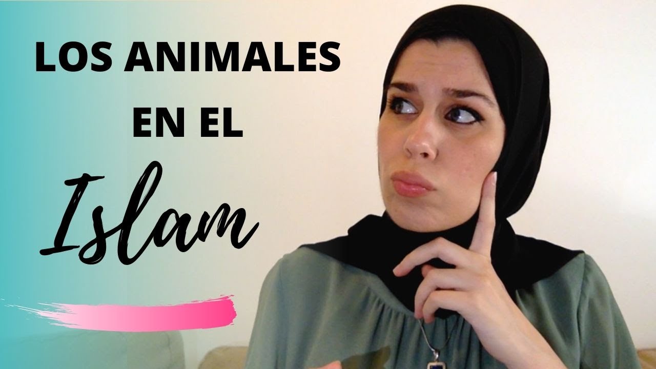 ¿Los ANIMALES tienen DERECHOS? El trato de los animales en el islam | Aicha Fernandez