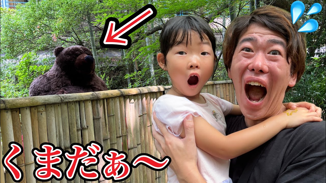 「くまだぁ〜死んだふりする？」山で珍しい生き物探してたらくま⁉️MAGMAリゾートで面白い体験をしました☺️【寸劇】
