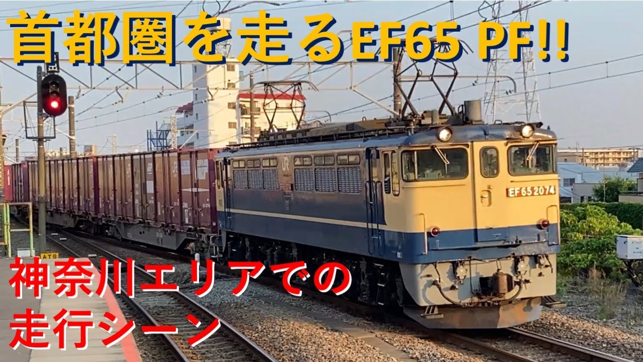 【東海道・南武・根岸線】EF65PF貨物 関東南部の走行シーン!!