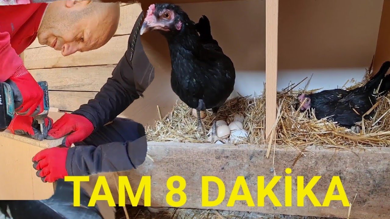 AMATÖR ve PRATİK FOLLUK YAPIMI!#pratikbilgiler