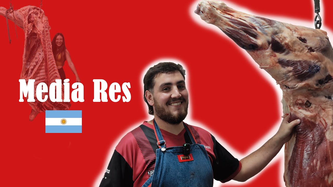 🍖CORTES ARGENTINOS | Desposte de MEDIA RES paso a paso | #argentina