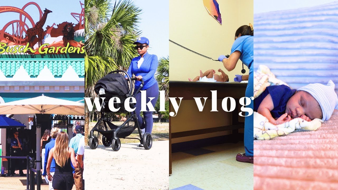vlog | how life has been having a newborn, Busch Gardens, postpartum waist training