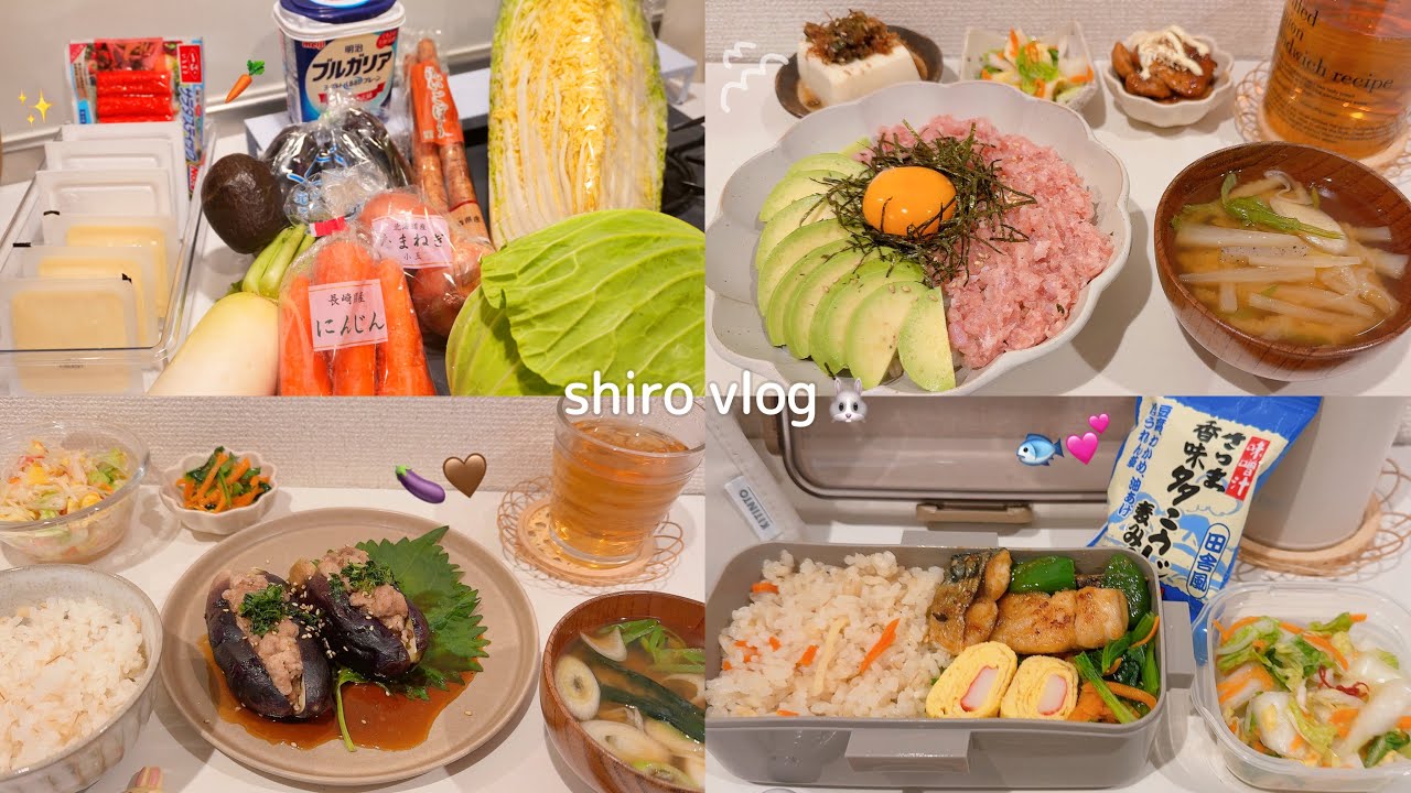 【食費月1万円】節約の裏技！野菜を捨てない保存術と5日間のリアルな自炊記録🍚