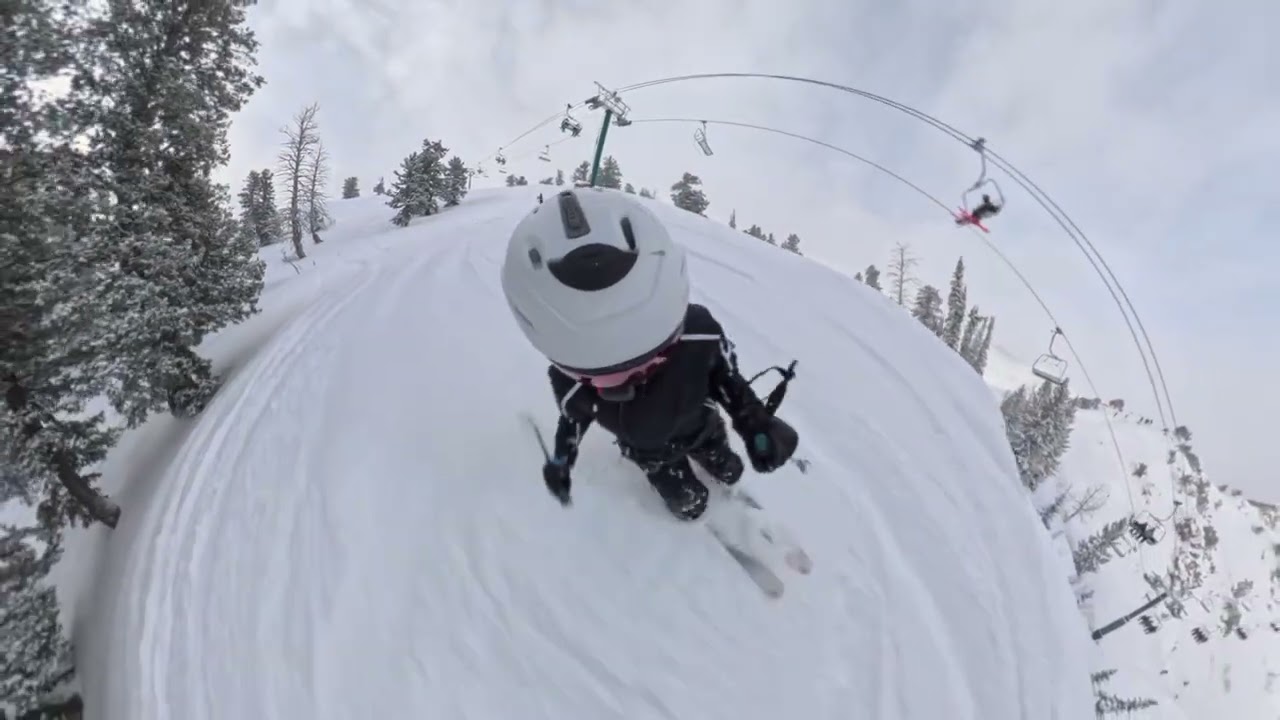 Paradise Powder