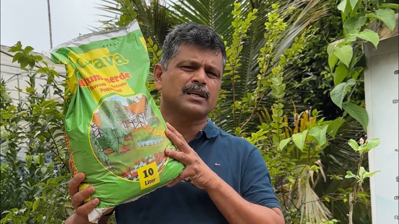 ഇതുപോലെയാണ് ചെടികൾ പോട്ടിൽ നടേണ്ടത്.. 🪴നഷ്ടങ്ങൾ ഒഴിവാക്കാം.. ✅ MIRACLE FARM HOUSE