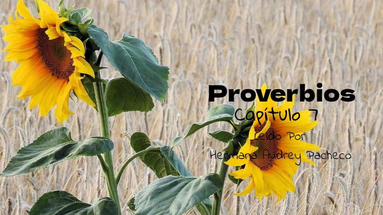 Proverbios Capítulo 7 | RV1960 | Leído Por: Hermana Audrey Pacheco | February 20, 2026