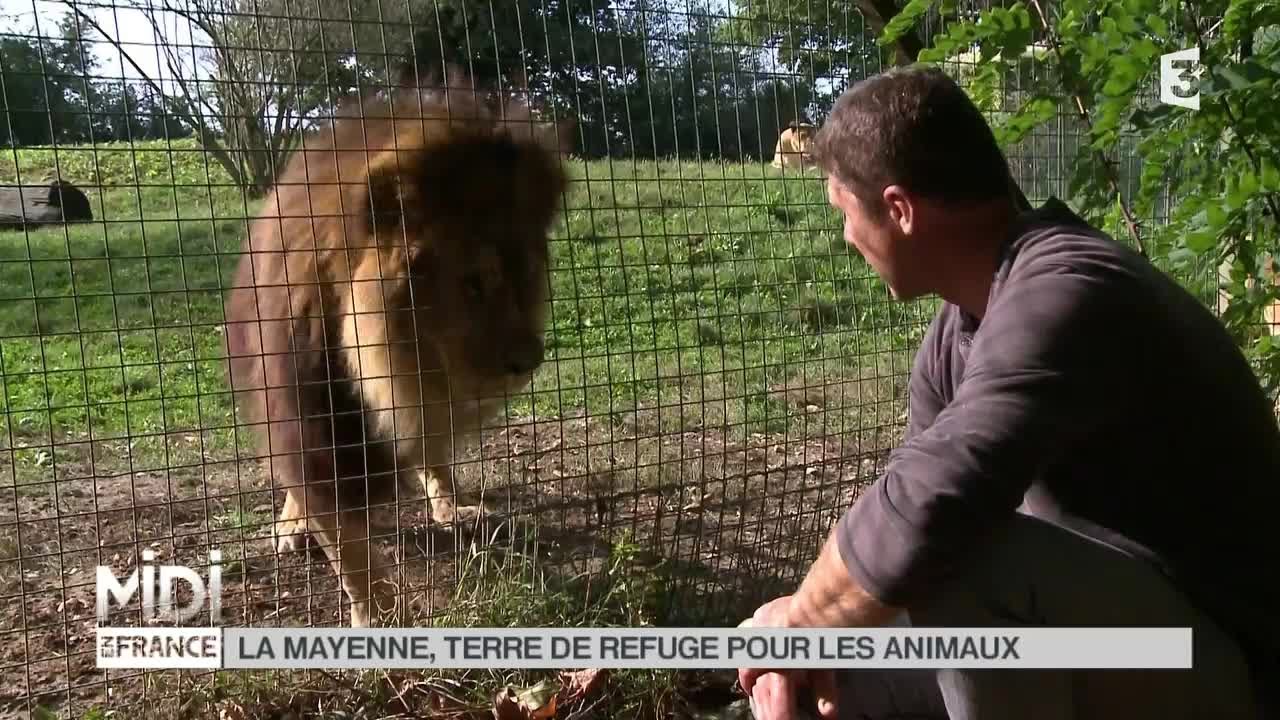 ANIMAUX : La Mayenne, terre de refuge pour les animaux