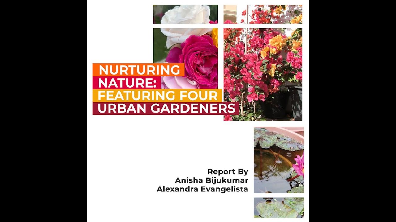 Nurturing nature: Featuring four urban gardens of Qatar expats