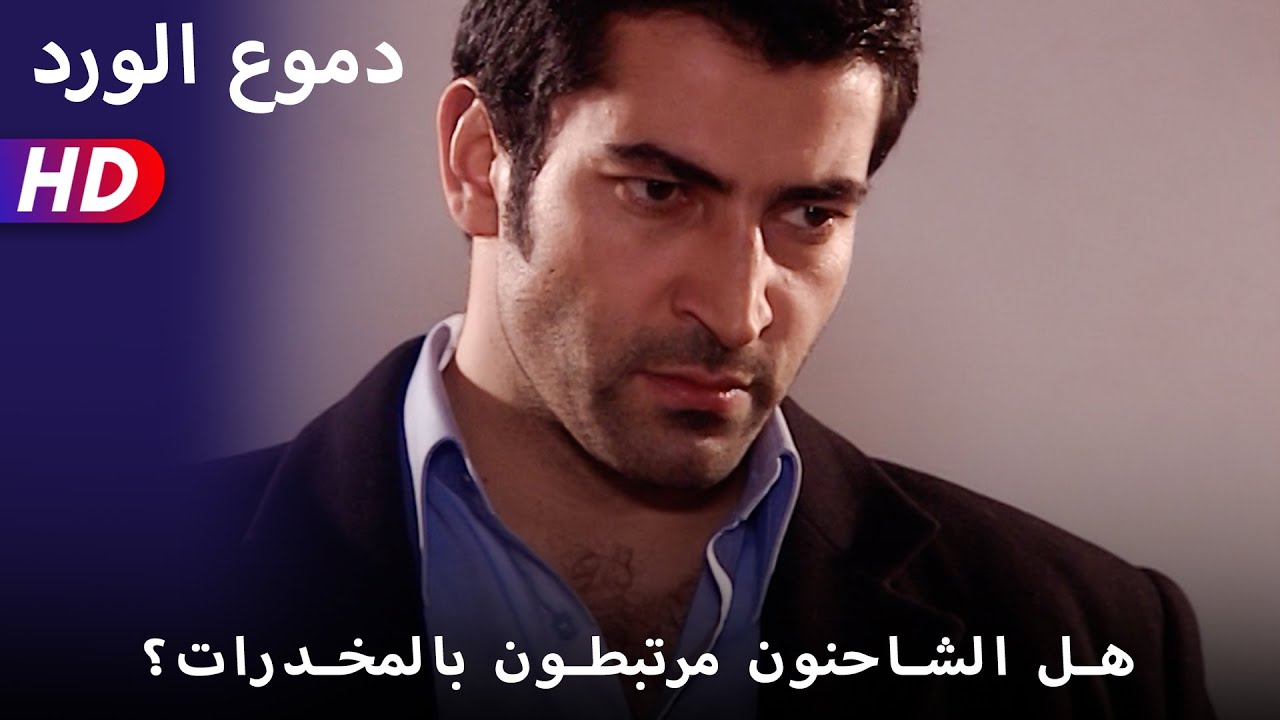 هل الشاحنون مرتبطون بالمخدرات؟  - 47