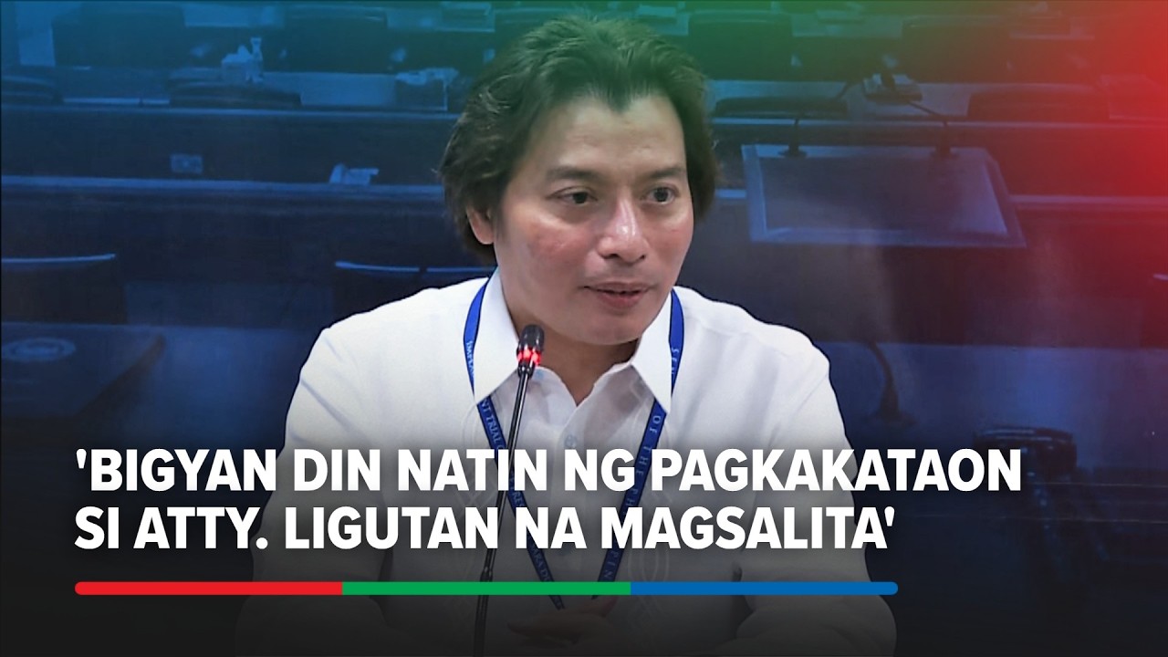 Why Sison felt the need to raise Ligutan's post, according to Poa | ABS-CBN News