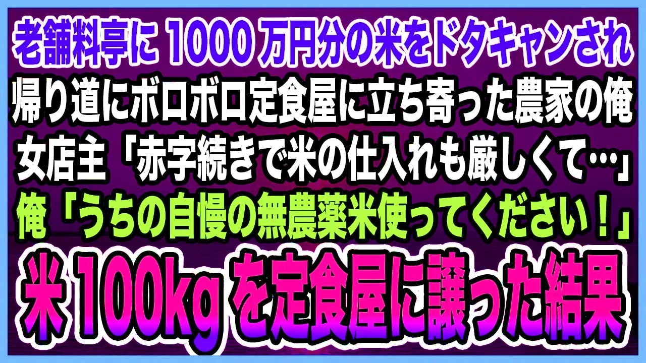 【感動する話】老舗料亭に1000万円分の米をドタキャンされ帰り道にボロ定食屋に立ち寄った農家の俺。「赤字続きで米の仕入れも厳しくて…」俺「うちの米使ってください」100キロ譲った結果【泣ける話・朗読】