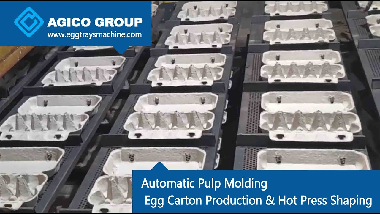 Automatic Pulp Molding Egg Carton Production & Hot Press Shaping | Fascinating Manufacturing Process