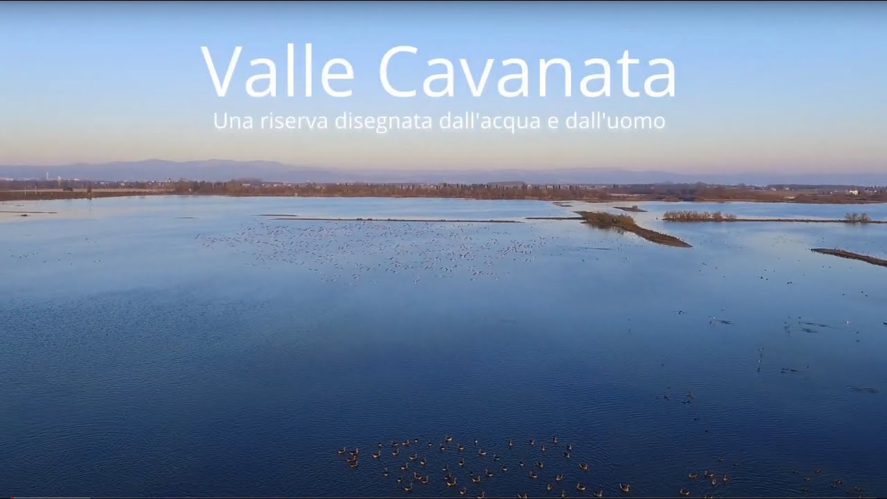 Documentario Riserva Naturale Valle Cavanata - Una riserva disegnata dall'acqua e dall'uomo - 2022