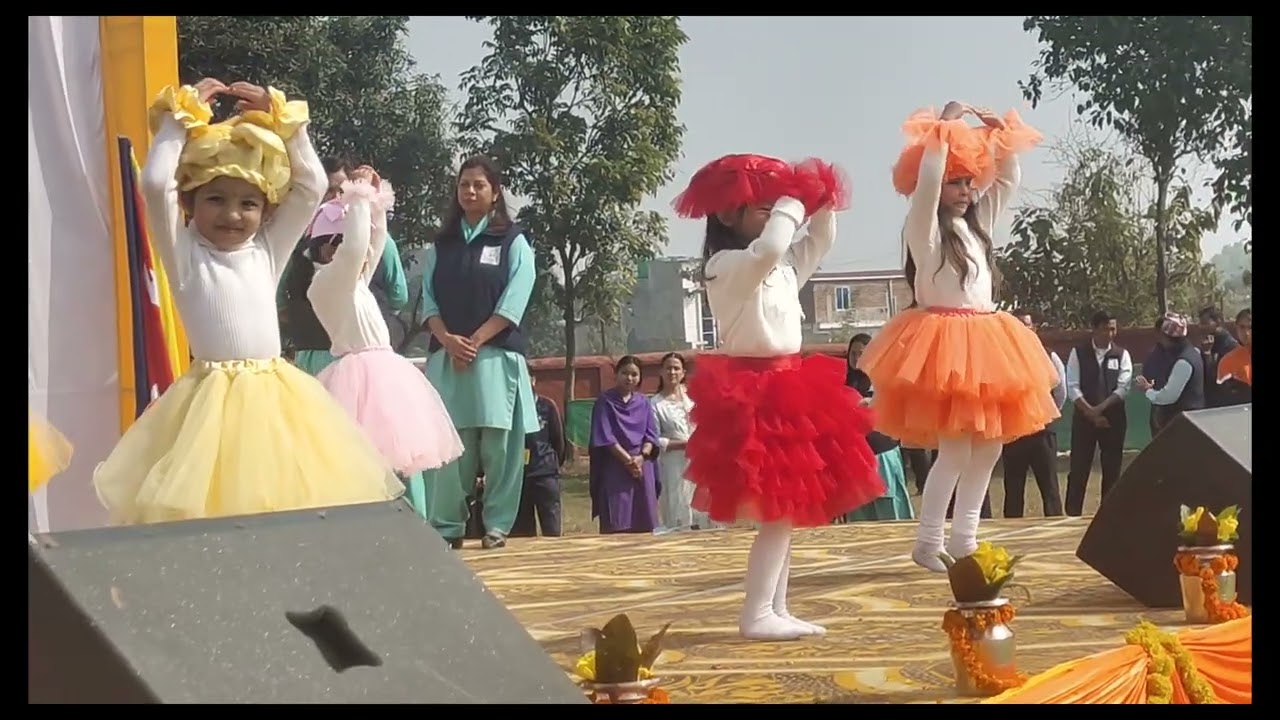 Groove & Shine:A Magical Dance Extravaganza!