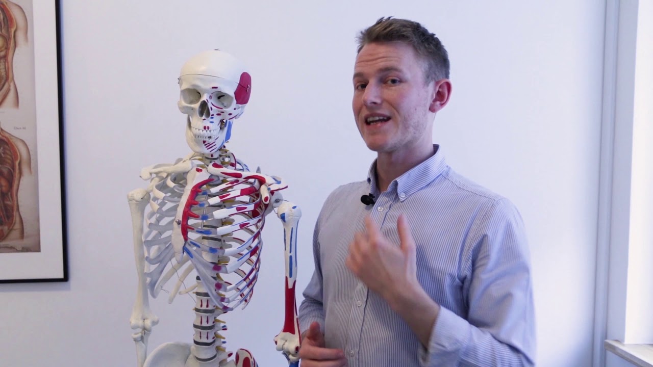 Nakkesmerter - Årsager - Mekanismer - Aarhus Osteopati og Fysioterapi