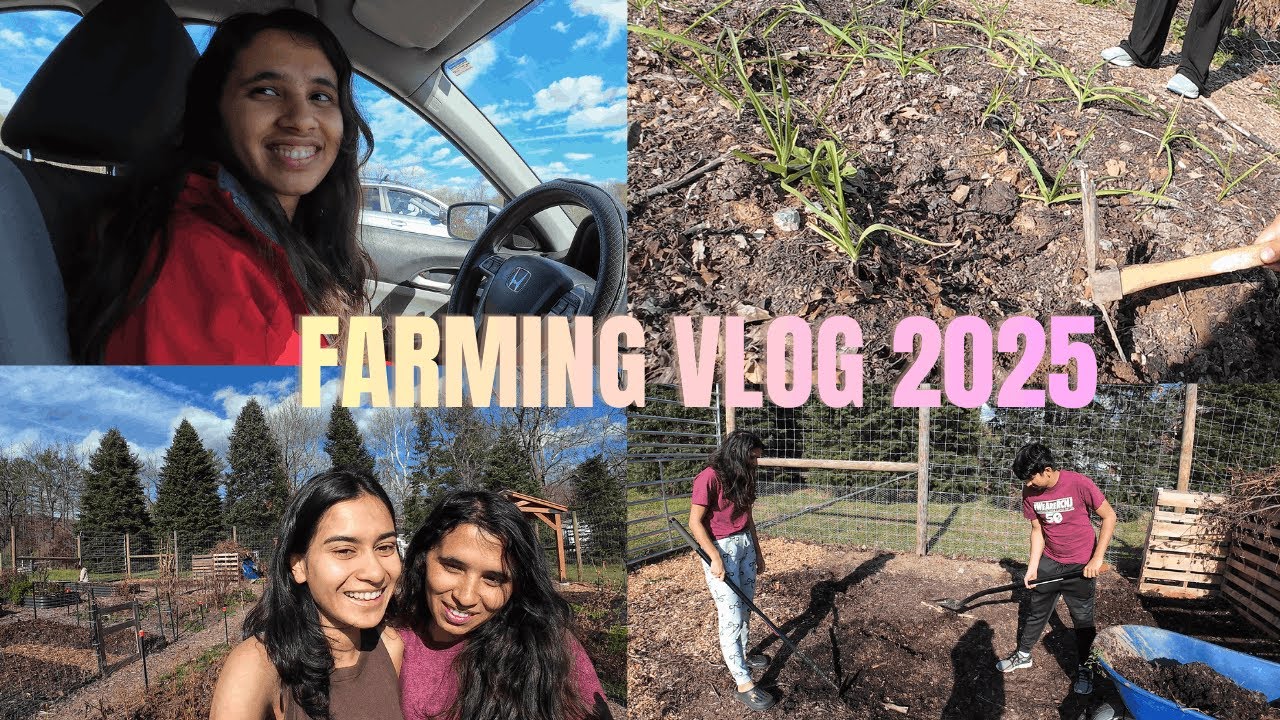 Farming VLOG 2025 | Fall Farming | Nepalese in USA
