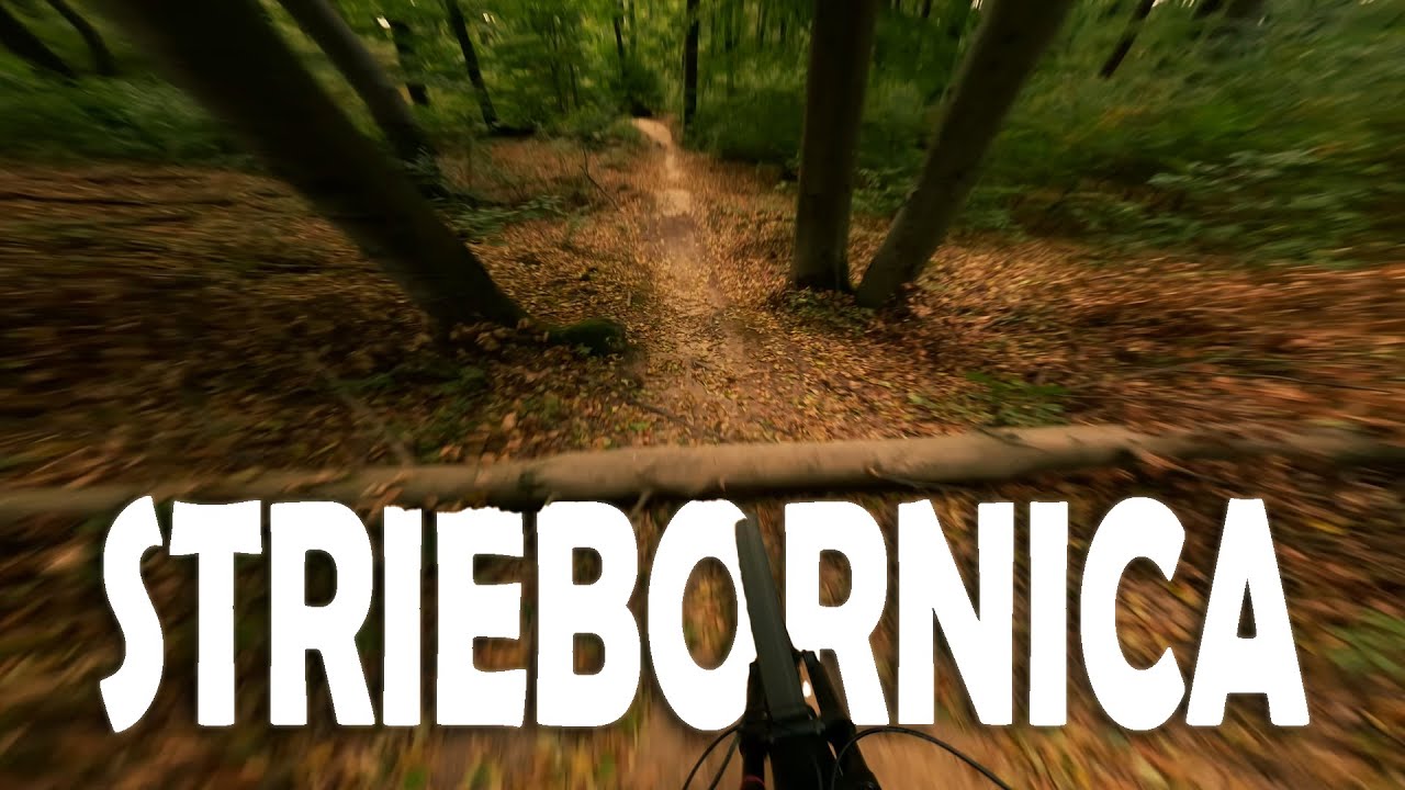 │Striebornica trail│ 4K  50FPS
