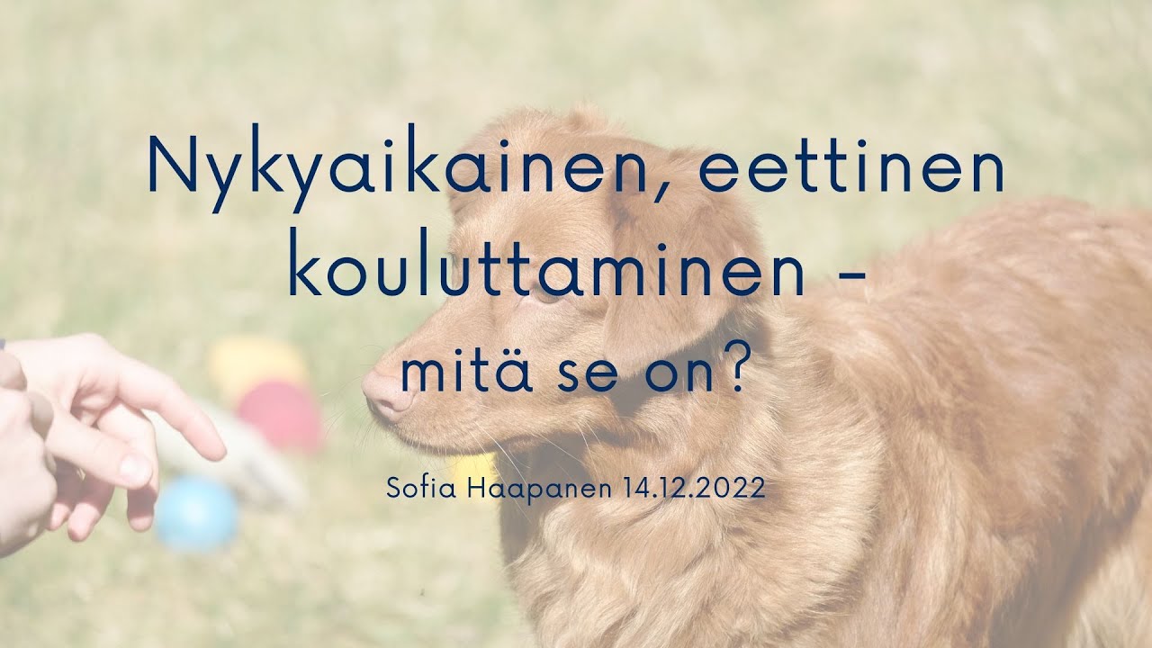 Nykyaikainen, eettinen kouluttaminen - mitä se on? [Webinaaritallenne Sofia Haapanen]