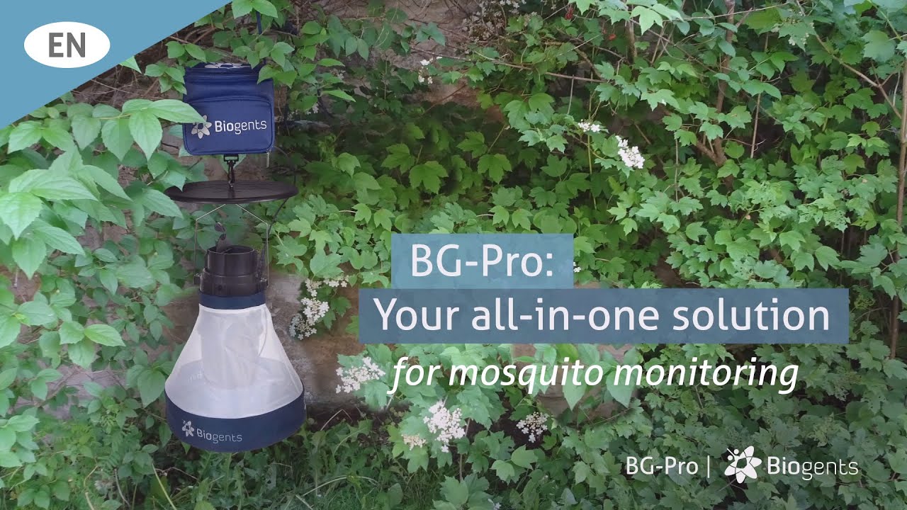 BG-Pro: The All-in-One Trap for Researchers and Professionals