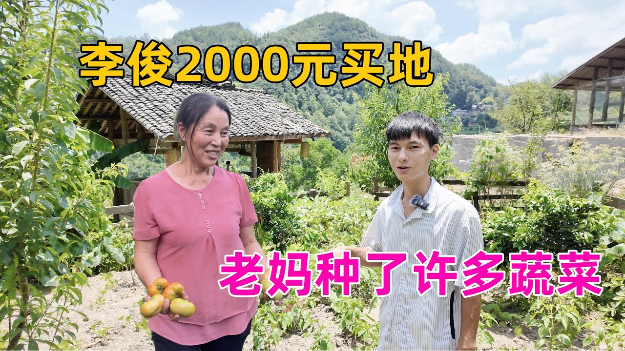 贵州李俊山里2000元买地，老妈种了许多蔬菜，居然还有大西瓜，吃都吃不完。