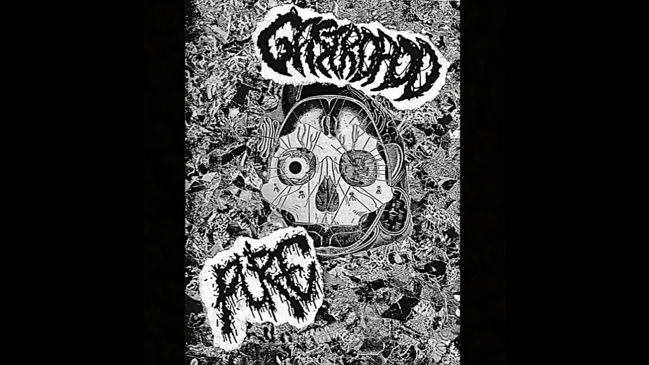 PURE / GASTROPOD FULL SPLIT 2023- (Mincecore/Powerviolence)