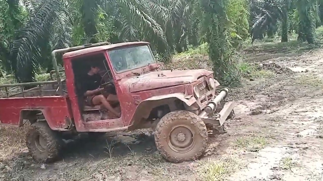 Melangsir buah menggunakan hartop saat habis hujan