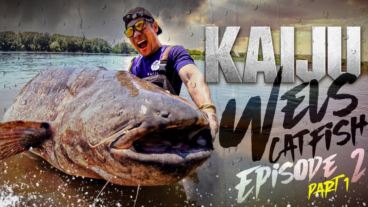 [Kaijin’s Kaiju Ep.2. Pt.1.]ตามล่าปลาดุกยักษ์ Giant Wels Catfish แห่งแม่น้ำโรน, ฝรั่งเศส Part 1