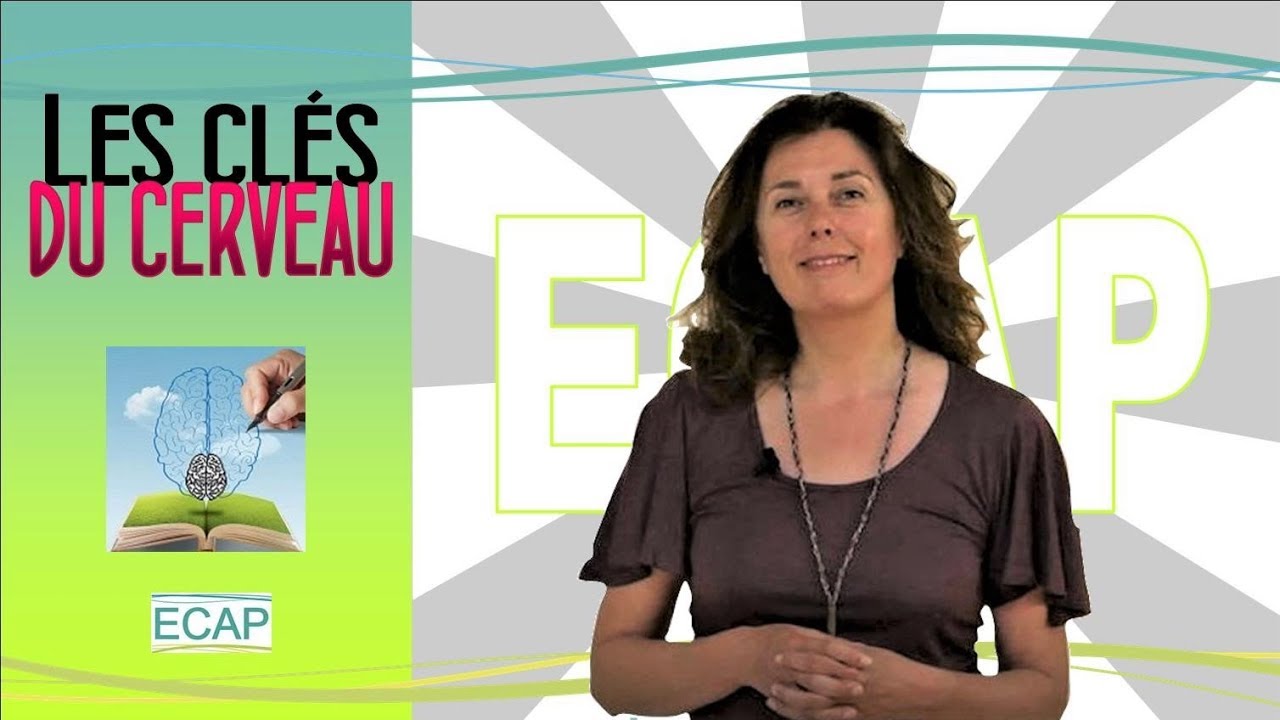 Formation Les Clés du Cerveau - ECAP de Nantes