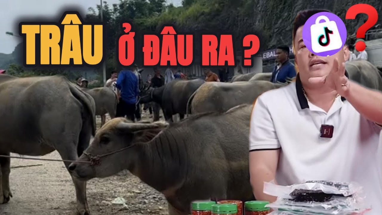 HẢI SAPA ẨN GIỎ HÀNG – BỐC TRẦN NGHỊCH LÝ TRÂU GÁC BẾP.