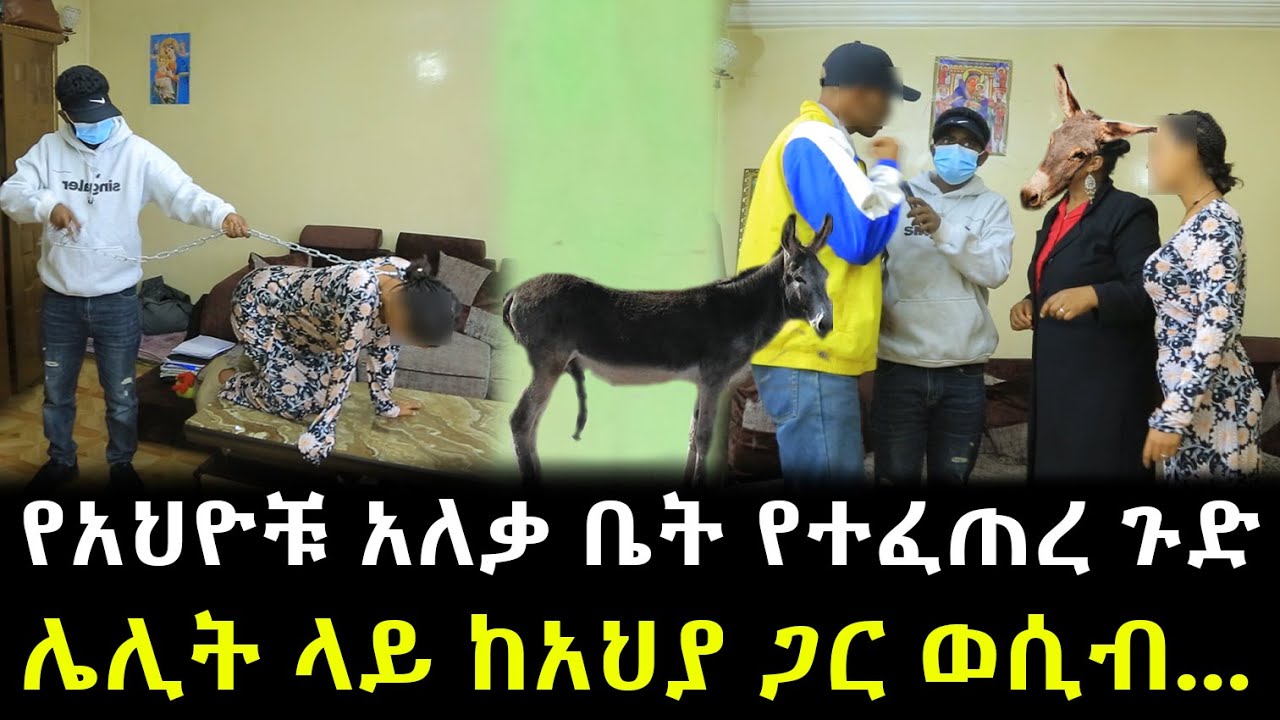 የአህዮቹ አለቃ ቤት የተፈጠረ ጉድ ሌሊት ላይ ከአህያ ጋር...