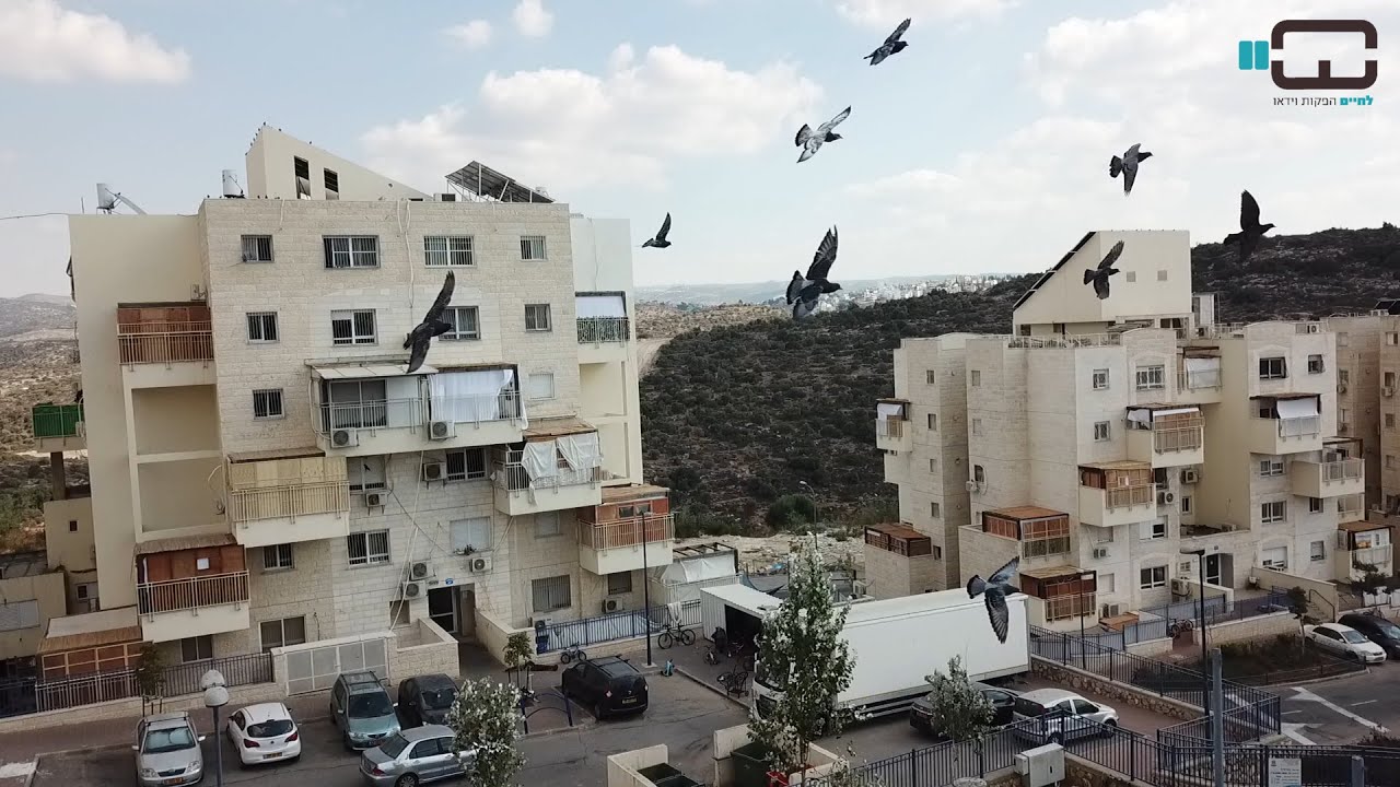 צילומי רחפן סוכות 2020 במודיעין עילית וחשמונאים - Modi'in Illit Israel