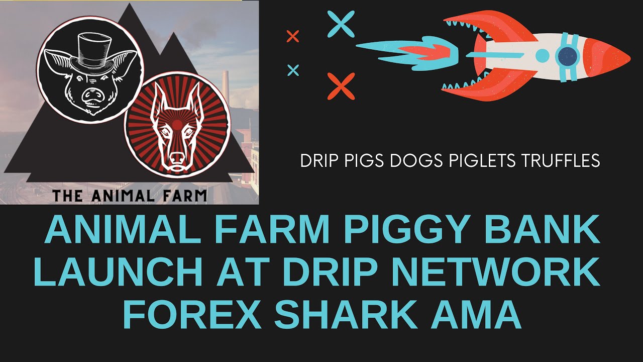 FOREX SHARK SHIFU Interview with Cryptoitalia 2022-04-27 Drip Network, Animal Farm, PIGGY BANK