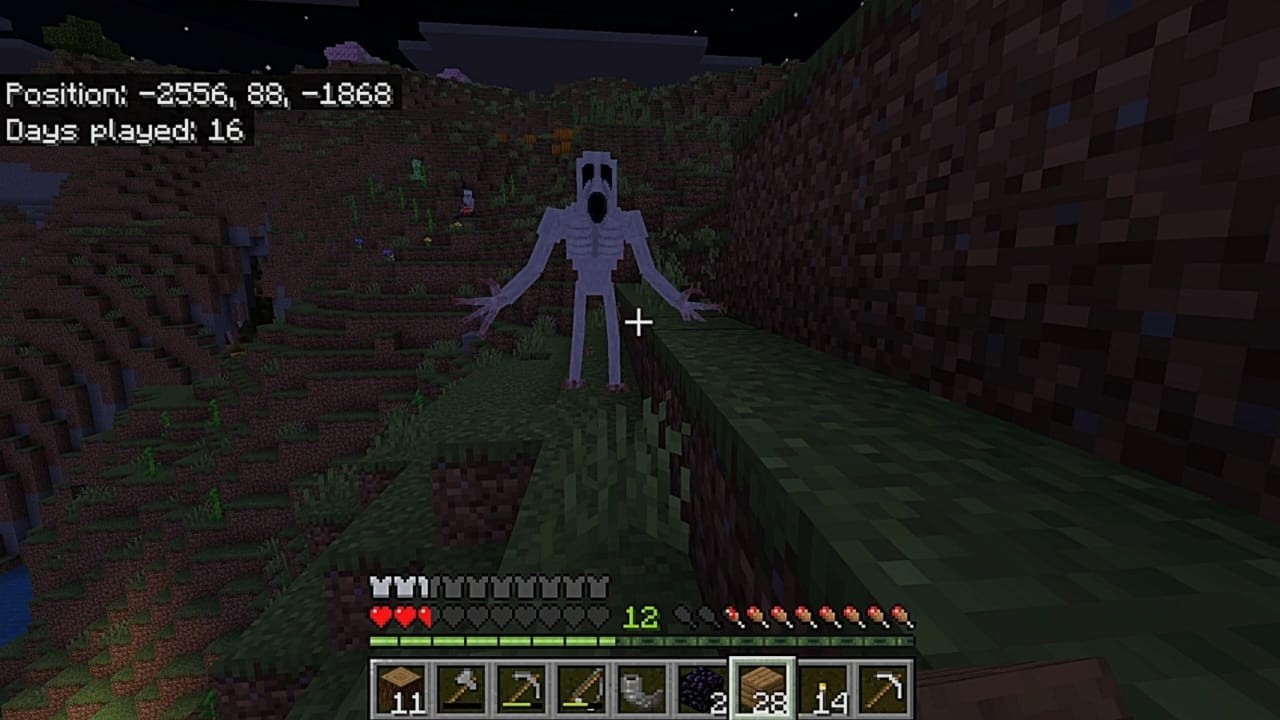 The One Who Watch Kill Me In My Minecraft Survival World
